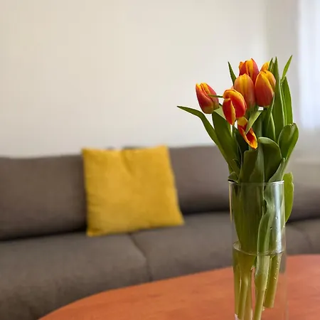 Yellow Sun Apartment *